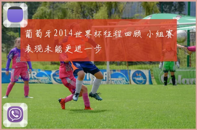 葡萄牙2014世界杯征程回顾 小组赛表现未能更进一步