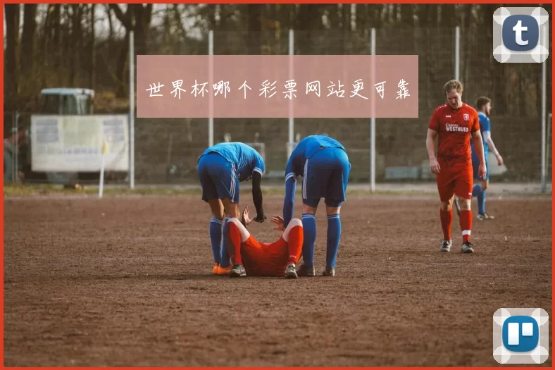 世界杯哪个彩票网站更可靠