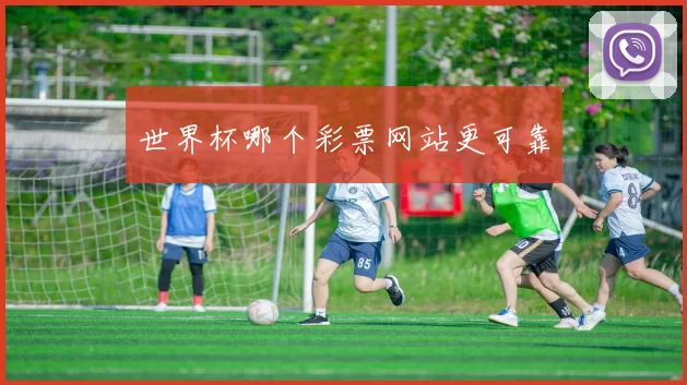 世界杯哪个彩票网站更可靠