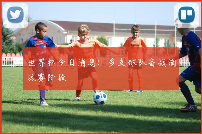 世界杯今日消息：多支球队备战淘汰赛阶段