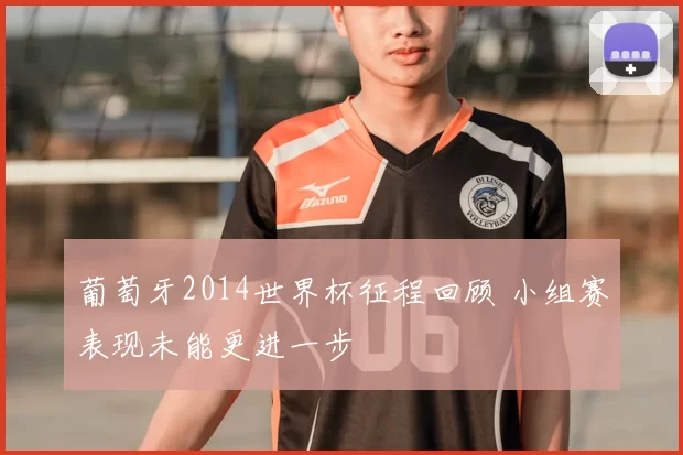 葡萄牙2014世界杯征程回顾 小组赛表现未能更进一步
