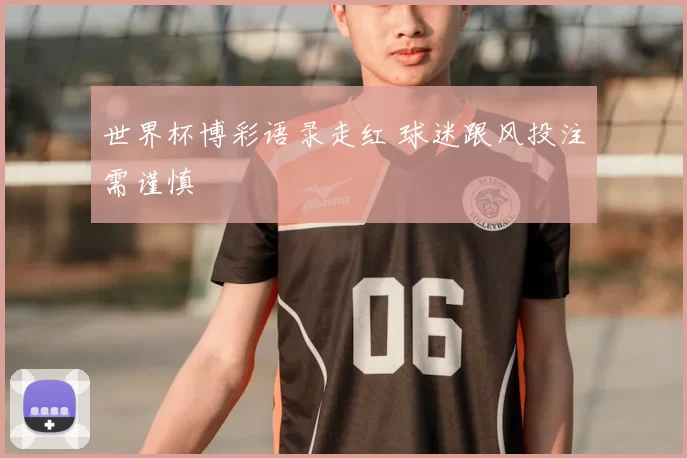 世界杯博彩语录走红 球迷跟风投注需谨慎