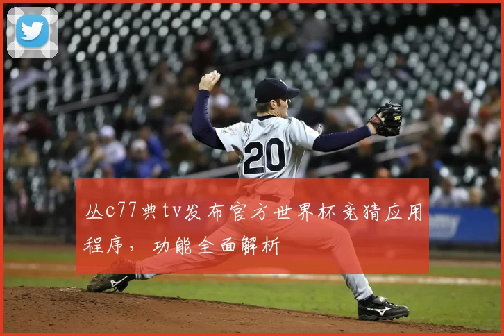 丛c77典tv发布官方世界杯竞猜应用程序，功能全面解析