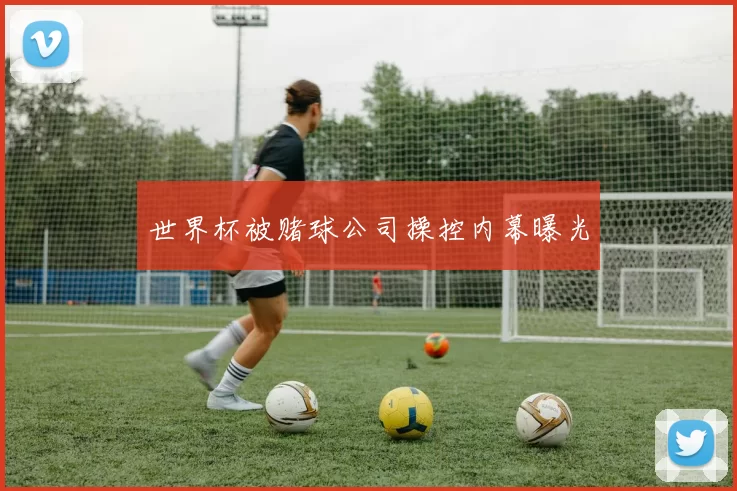 世界杯被赌球公司操控内幕曝光
