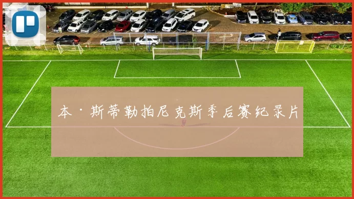 本·斯蒂勒拍尼克斯季后赛纪录片