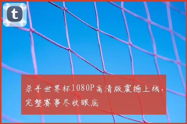 杀手世界杯1080P高清版震撼上线,完整赛事尽收眼底