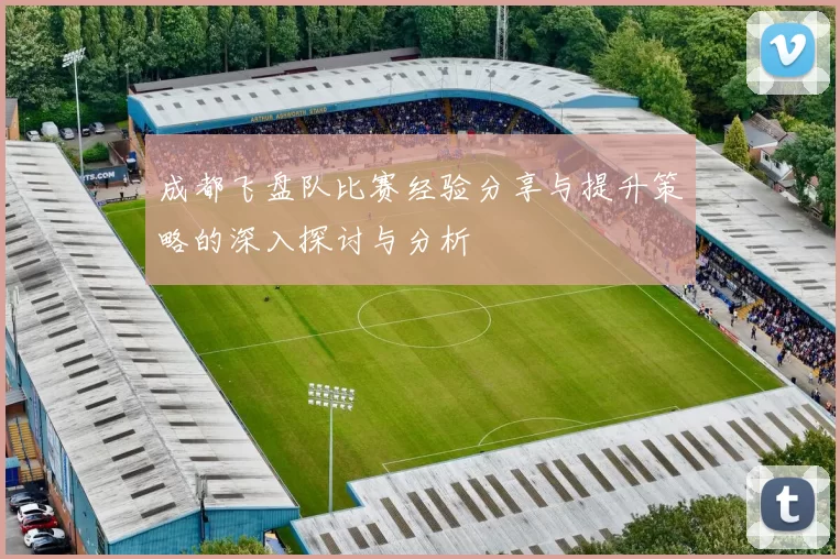 成都飞盘队比赛经验分享与提升策略的深入探讨与分析