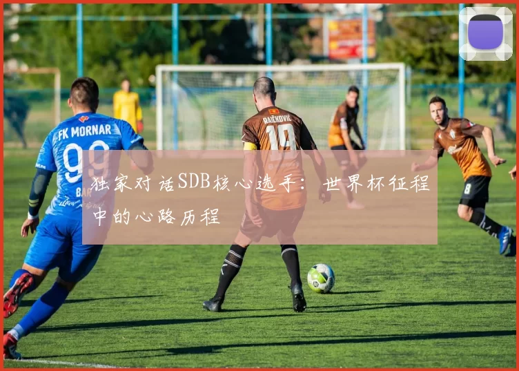 独家对话SDB核心选手：世界杯征程中的心路历程