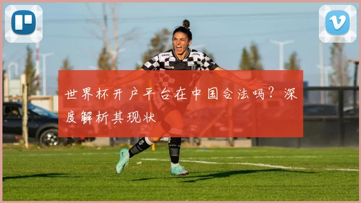 世界杯开户平台在中国合法吗？深度解析其现状